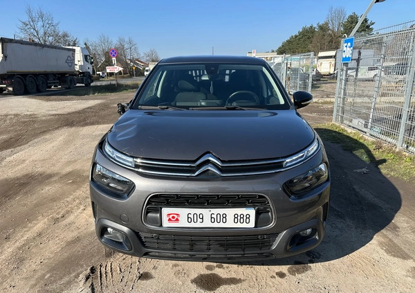 Citroen C4 Cactus cena 26900 przebieg: 101000, rok produkcji 2019 z Turek małe 631